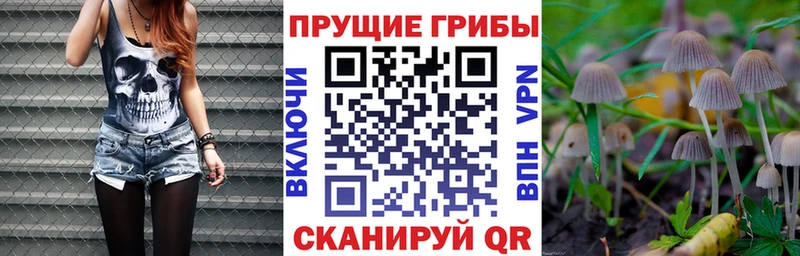 Купить  Елец  Галлюциногенные грибы ЛСД 